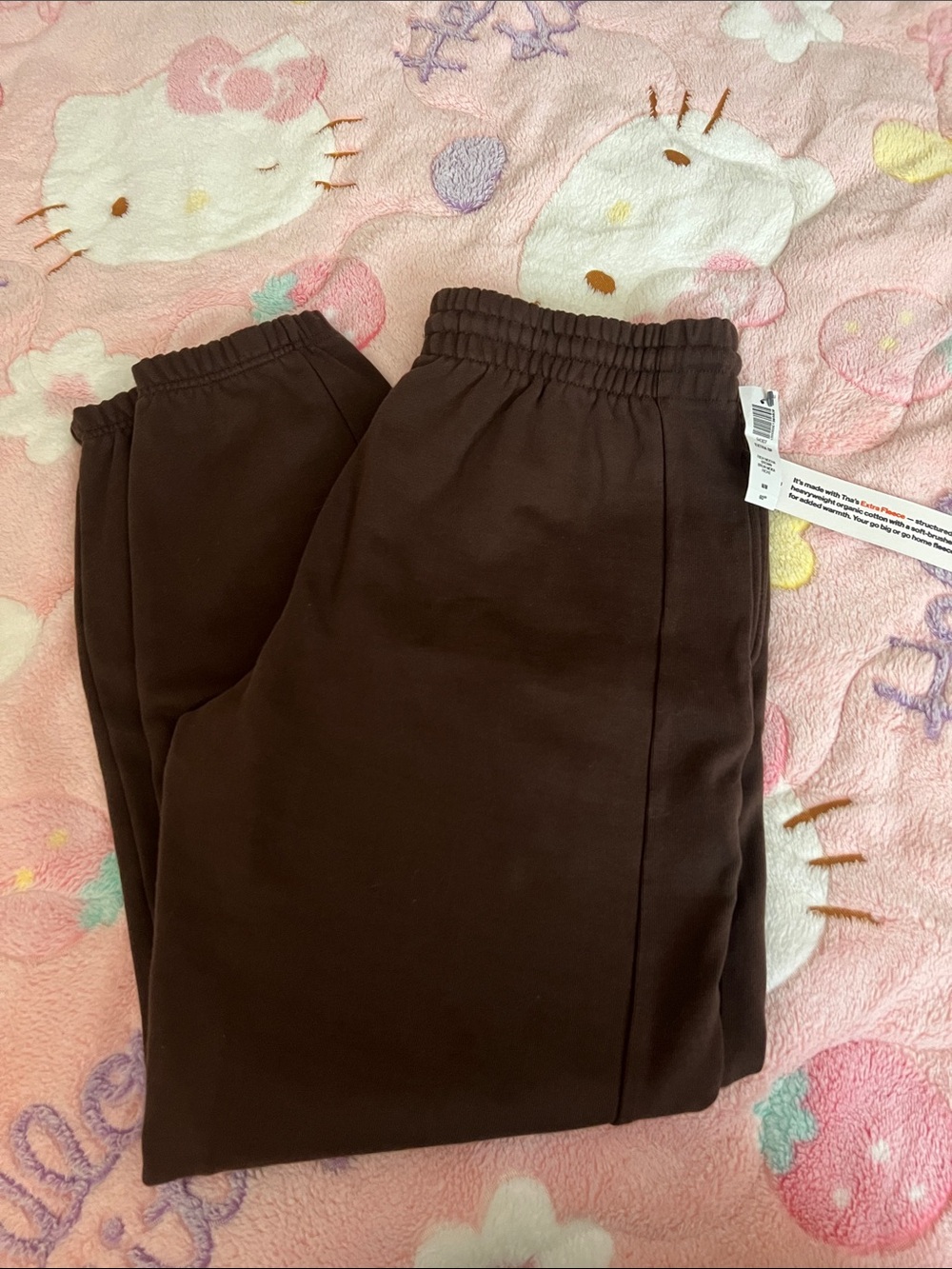 Aritzia TNA Extra Fleece Mocha Sweatpants
